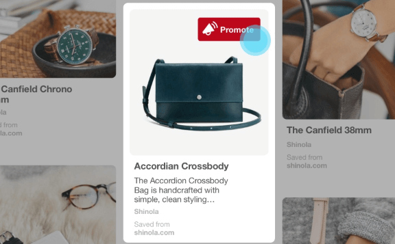 promoted pin_pinterest Pinterest Promoted Pin