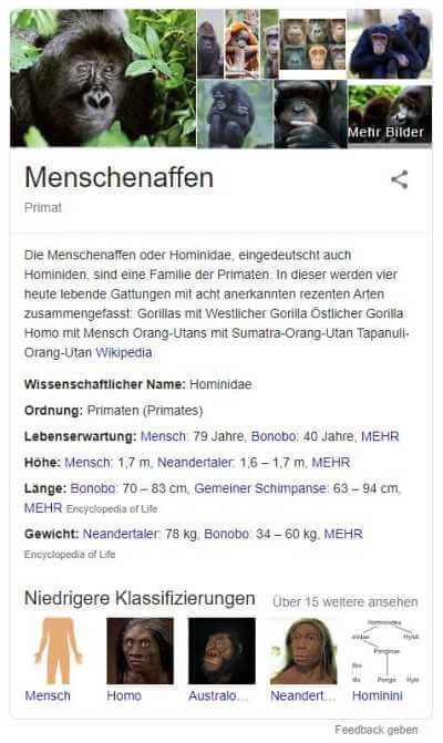 Beispiel für Knowledge Graph zeigt Informationen über Menschenaffen, Quelle: Google