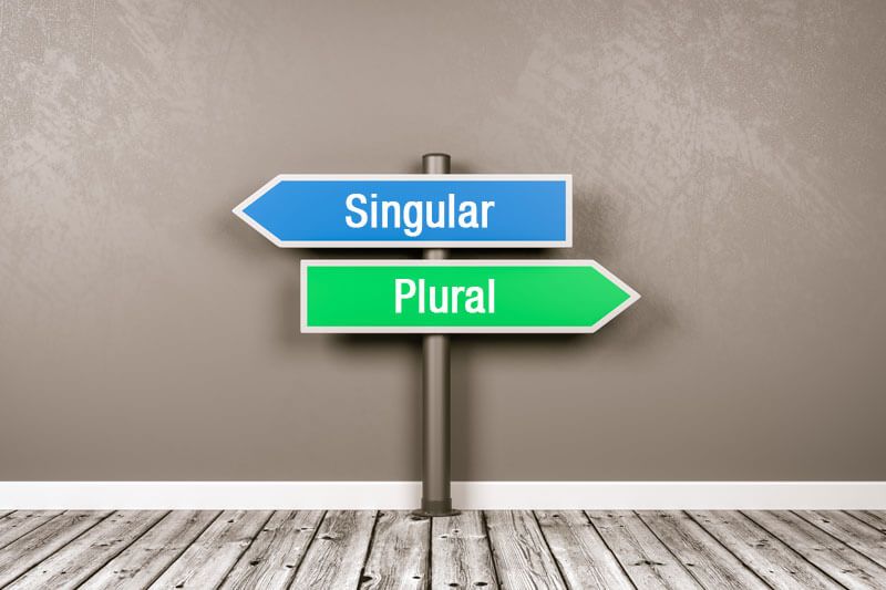 Keyword Singular oder Plural