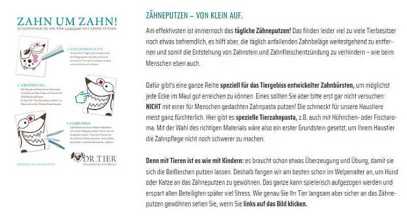 Leitfaden Zähneputzen von Dr. Tier